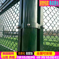 Galvanized PVC Coated Chain Link Fence for Tennis Courts and Farms