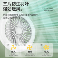 Portable Camping Fan with LED Light, Rechargeable, for Tent and Desk