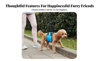 Hind Leg Assistance Harness Adjustable Straps Full Mobility Assistance Harness Support Harness Padded Handle Breathable