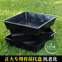 Seedling Tray for Hydroponics and Germination, Durable Plastic Plant Sprouter Tray