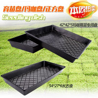 Seedling Tray for Hydroponics and Germination, Durable Plastic Plant Sprouter Tray