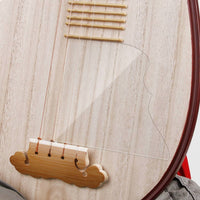 Pipas Guard No-Glue Zhongruan Guard Preserving Panel Protector for Instrument Practice