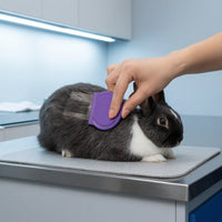 8 Pieces Pet Grooming Kit with Glove Textured Grip Grooming Kit with Massage Glove Fine-Tooth for Small Animals, Coat Care