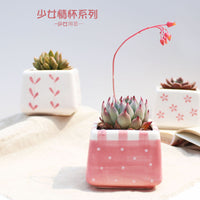 Hand-Painted Pink Square Succulent Planter Pot