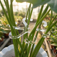 Indoor Plants Plant Support for Monstera Support, Clear Acrylic Plant Supports for Indoor Plants, Hexagonal Design Plant Sticks Support, 1 Pack