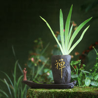 Ceramic Zisha Succulent Planter with Hydroponic Vase and Zen Tea Pet Ornaments