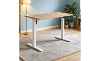 Height-Adjustable Desk Quiet Motor Standing Desk Memory Presets Office Furniture for Workplace