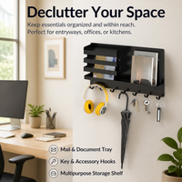 Wall Mounted Organizer with Tray, Carbon Steel Storage Rack, Space Saving Hanging Organizer for Kitchen, 10kg Load