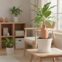 Slow-Release Terracotta Watering Bottle Porous Self-Watering Olla Automatic Clay Irrigation Vessel Indoor Outdoor for Travelers, Potted Plants