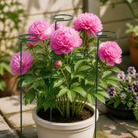 Plant Stakes, For Climbing Plants, For Houseplants, Green, Iron, 6cm, Round, Set of 9, Flowers, Potted Plants Support