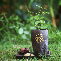 Ceramic Zisha Succulent Planter with Hydroponic Vase and Zen Tea Pet Ornaments