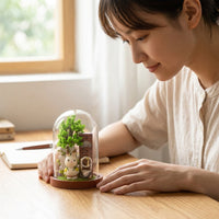 DIY Model Kit, Miniature Diorama Kit with Furniture, Wooden Craft Kit for Adults, Relaxing Hobby Craft Kit, Creative Building