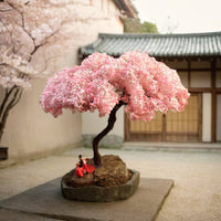 Miniature Cherry Blossom Tree Model Freestanding Flowering Cherry Tree Miniature Realistic Display Decor for Micro-Landscape