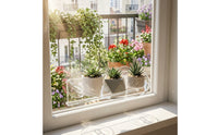Multi-Purpose Acrylic Window Plant Shelf Easy Installation Clear Aquarium Planter for Kitchen