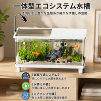 Aquarium Tank Set, Acrylic Tank, 41×22×22.5cm, Large, Tropical Fish Breeding Case, With LED Light