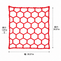 Nylon Fall Prevention Net, Multi-color, For Construction Sites, 1m²