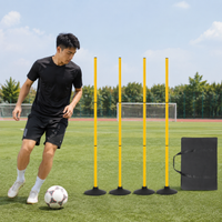 training hurdles