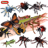 Kids' Educational Insect and Animal Figurines with Observation Box for Halloween and Sand Table Scenes