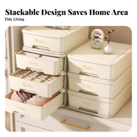 Compartment Underwear Box Visible compartment Drawer Organizer particlesprotected with Lid