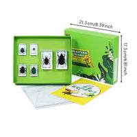 Resin-Embedded Sample Kit with Tray Clear-Cover Educational Sample Collection Natural Child-Friendly for Classroom, Homeschool