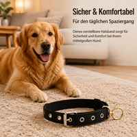 Dog Collar, Adjustable Nylon Dog Collar 3cm Wide, Robust Collar for Dogs 16-40kg, with Quick Release Buckle for Training & Walks