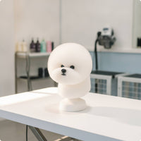Pet Grooming Practice Head Dog Grooming Mannequin with Hair Smooth