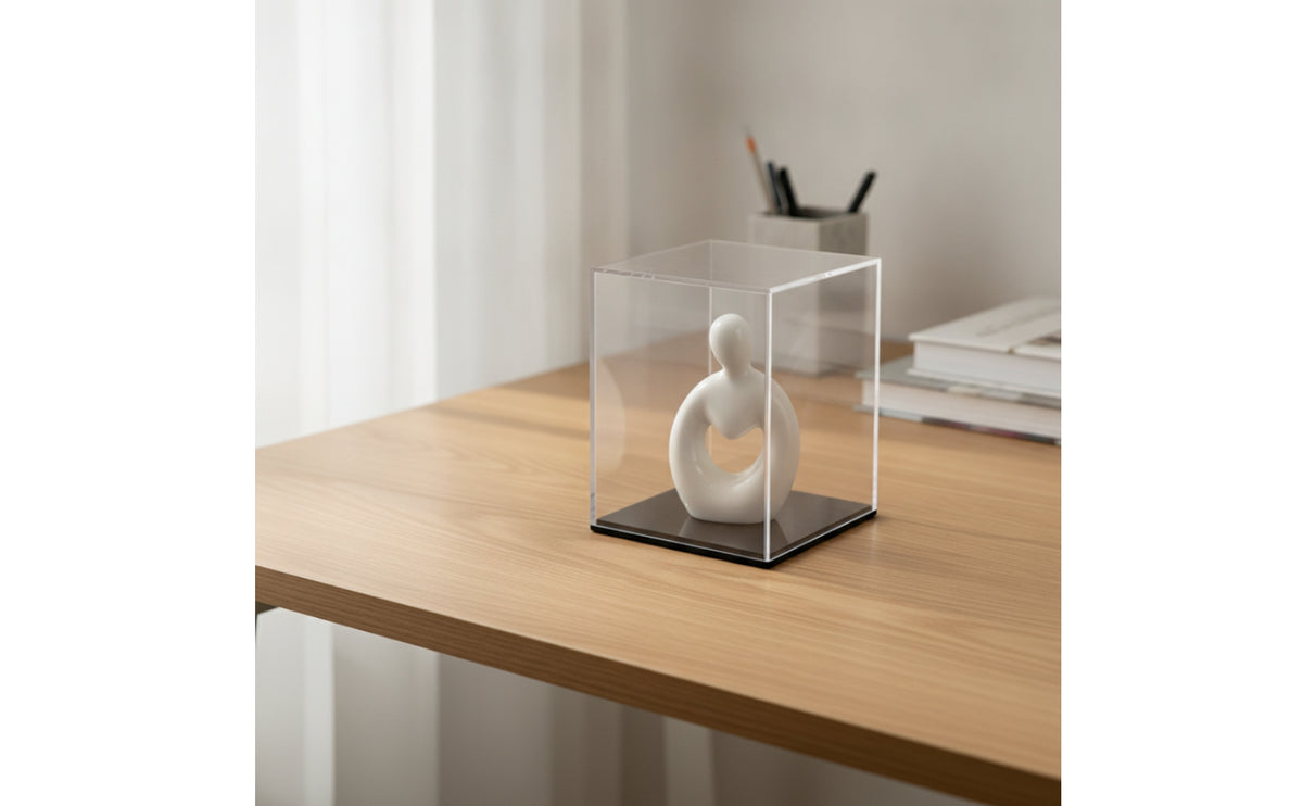 Display Box with Dust Cover Dustproof Clear Acrylic Display Case Transparent for Collectors, Hobbyists, Shelf, Desk