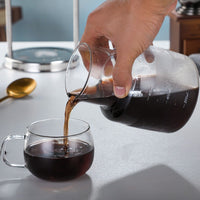 Glass Coffee Brewing Set with Cold Brew and Drip Functions