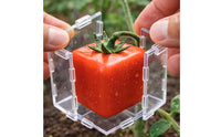 Transparent Fruit Shaping Mold Two-Piece Fruit Growing Mold Clip Fastened
