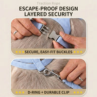 Cat Harness and Leash Set with Decorative Vest, Breathable Mesh Walking Harness and Non-Retractable Lead for Safe Outdoor Cat Walking Use
