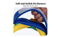 Breathable Vest Design Dog Harness Soft Padded Dog Chest Harness and Leash Set Lightweight for Dogs, Training, Outdoor, Running