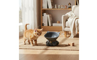 Wide Mouth Elevated Cat Bowl Easy to Clean Tilted Ceramic Pet Bowl Dishwasher Safe Tilted Pet Feeder for Cats, Small Dogs, Flat-Faced Pets