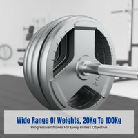 Barbell Set, Large Hole Painted Cast Iron Plates, Home Fitness, Leg Press, Weightlifting Equipment, Dense Cast Iron
