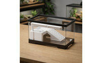 Turtle Tank with Basking Platform Waterproof Turtle Tank with Filter Reptile Enclosure with Ramp Clear Terrarium Full View