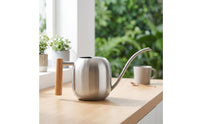 Stainless Steel Watering Can Small Long Spout Watering Can Rust-Resistant Gardenware for Houseplants, Balcony