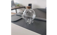 Valentine's Day Gift Mini Pig Glass Bottle Compact Size Transparent Pig Currency Bank Stable Base Clear Glass Coin Jar Cork Stopper for Bedroom