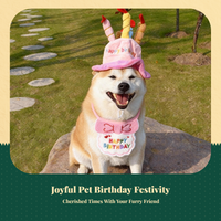 Dog Birthday Hat, Breathable Bib Scarf, Party Costume
