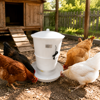 automatic poultry feeder