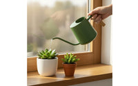 Metal Watering Can Compact Small Wooden Handle Watering Can Easy to Control for Desk