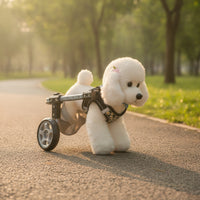 With Hind-Leg Support Lightweight Adjustable Pet Two-Wheel Mobility Aid for Dogs, Small Pets, Walks, Rehabilitation, Indoor Use