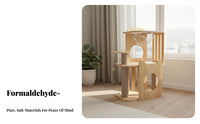 Solid Wood Cat Perch with Space Capsule Sturdy Construction Wooden Cat Perch with Scratching Posts Easy Assembly Pet Furniture Natural Material for Indoor, Living Room, Bedroom, Home
