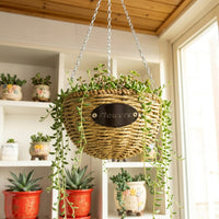 Plant Pots for Indoor Plants in a Round Hanging Basket, Hand-Woven Wicker Basket with Hanging Chain, Rustic Style Hanging Planters, 1 Pack Single