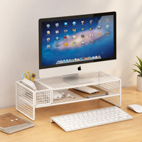 2 Tier Metal Monitor Stand with Storage Desk Shelf for Home Office Workspace