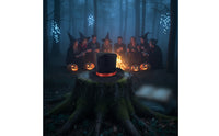 Red Ribbon Band Pointed Felt Hat Wide Brim Hat