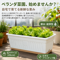 Planter, Flower Pot, Large, Raised Bed, Deep Type, 49×20.5×18cm, Large Capacity, Balcony Garden, Home Vegetable Garden, For Vegetable Cultivation
