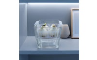 Crystal Clear Hydroponic Flower Planter Protects Roots Glass Bulb Forcing Vase Heat Resistant Water Planting Pot with Basket Inexpensive Replacement for Desktop