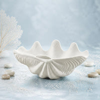 Modern Minimalist Clam Shell Bowl Artistic Design Seashell Decorative Bowl Realistic Look for Hotel, Guesthouse, Living Room