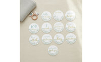 13 Pieces Monthly Developmental Discs Baby Developmental Discs Botanical
