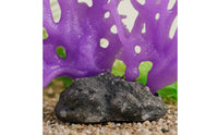 Artificial Coral Realistic Design aquarium Coral Formation Decor Easy to Install Aquarium Accessory for Terrarium