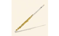 Gold Key Flute Complete Accessories Silver Flute Brazed Construction for Beginners, Exam, Practice